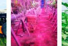 Photo of Биоинновации в сельском хозяйстве