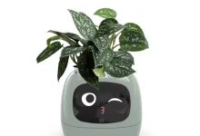 Photo of Умные сорта растений