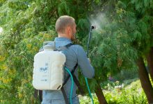 Photo of Прогрессивные методы борьбы с вредителями