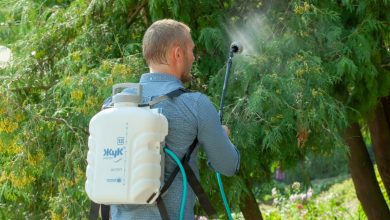 Photo of Прогрессивные методы борьбы с вредителями