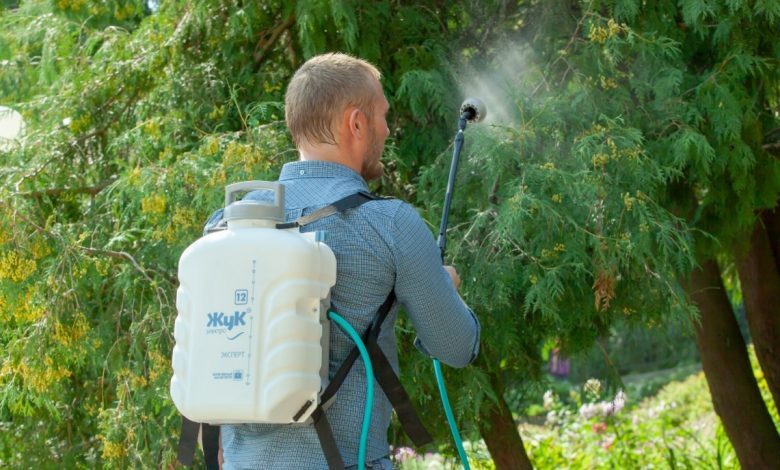 Photo of Прогрессивные методы борьбы с вредителями