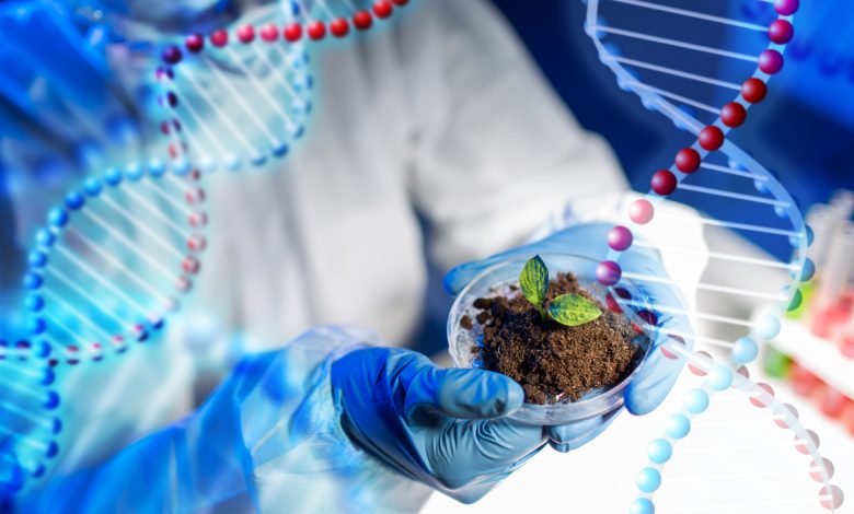 Photo of Биотехнологии растений: увеличение урожайности