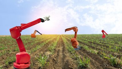 Photo of Умные технологии для сельского хозяйства