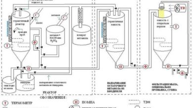 Photo of Биотопливо: альтернатива нефти