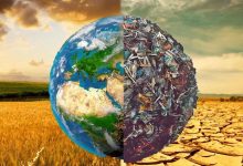 Photo of Борьба с изменением климата в сельском хозяйстве