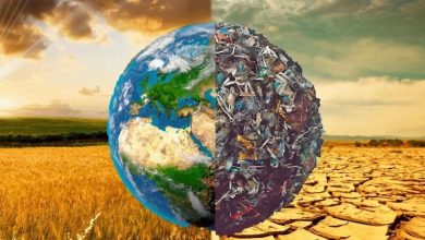 Photo of Борьба с изменением климата в сельском хозяйстве