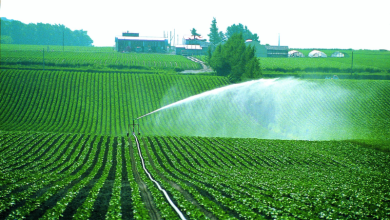 Photo of Новые методы орошения
