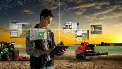 Photo of Цифровые решения для увеличения урожайности