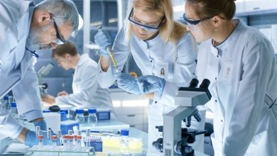 Photo of Биотехнологии в медицине: перспективы лечения